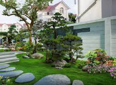 Tiểu cảnh - Sân vườn