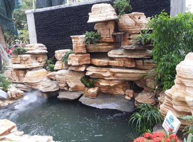 Hồ cá coi thác nước 