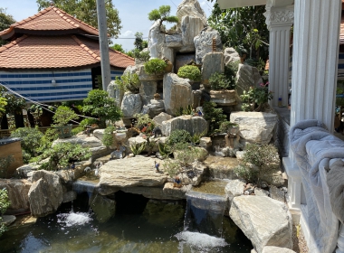 Hồ cá coi 