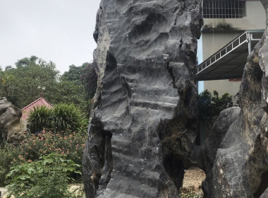 đá sân vươn