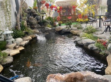 Lựa chọn địa chỉ nhận thi công hồ cá koi uy tín giá rẻ chất lượng