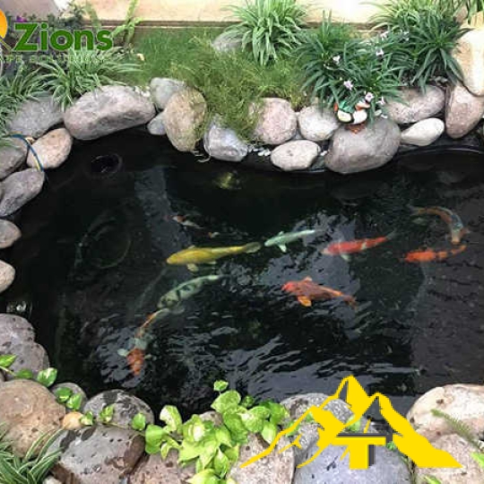  Cảnh quan Zions HỒ CÁ KOI MINI ĐIỀU HÒA KHÔNG KHÍ 