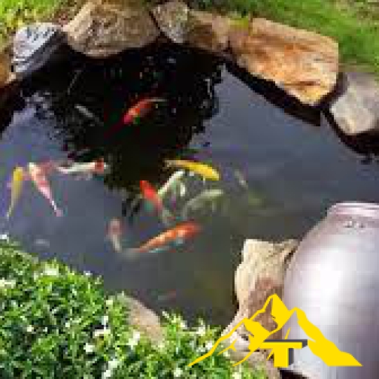  Vật Liệu Lọc Hồ Cá Mộc Vinh Hồ Koi thiết kế