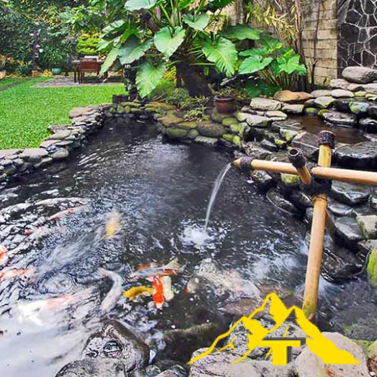 Hồ cá koi đẹp phong cảnh đẹp